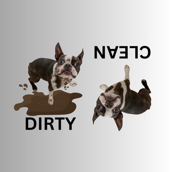 BOSTON TERRIER Clean Dirty Dishwasher Flexible Magnet - Picture 1 of 1